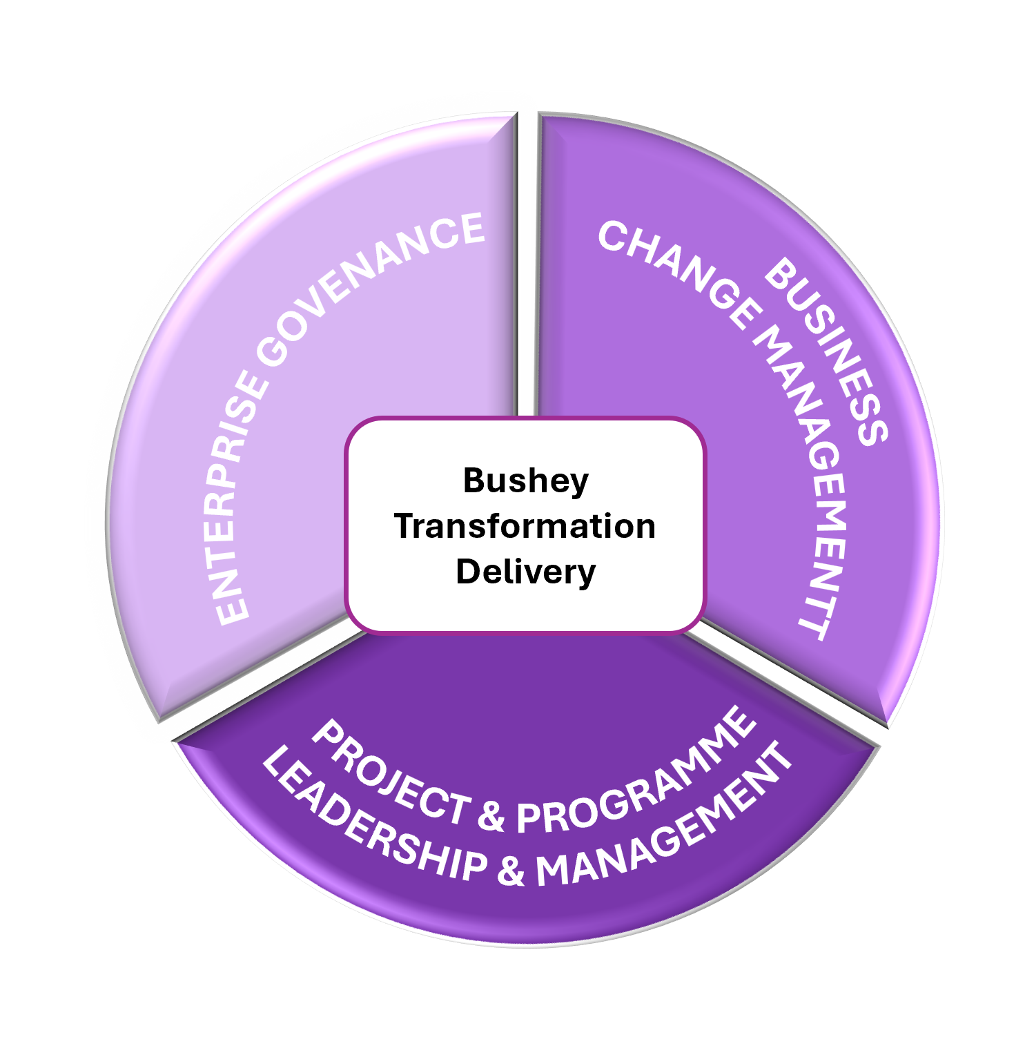 Bushey IT Change consultant leading a transformation delivery workshop