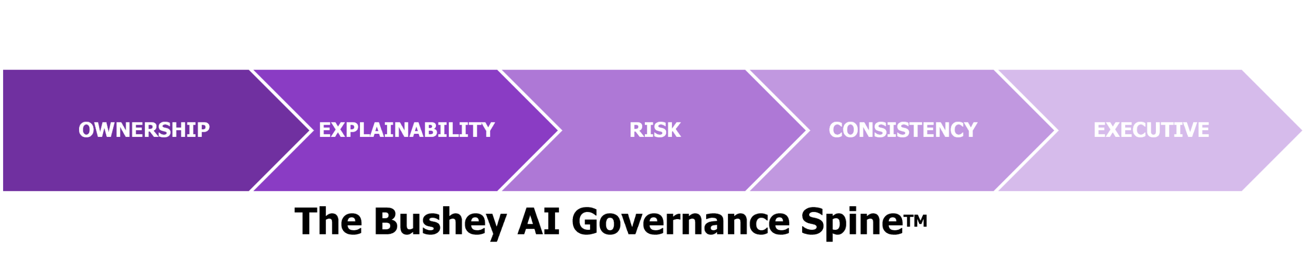 AI Governance and Assurance